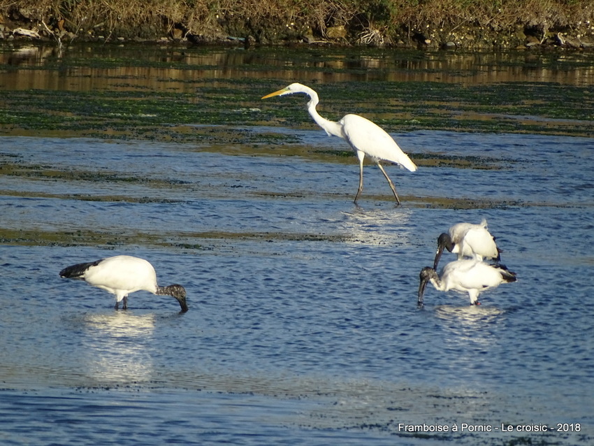 Le Croisic en hiver 