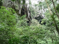 Le parc du Gunung Mulu