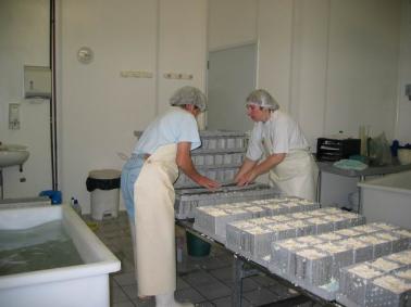LES FROMAGES DE NOS REGIONS LE MAROILLE