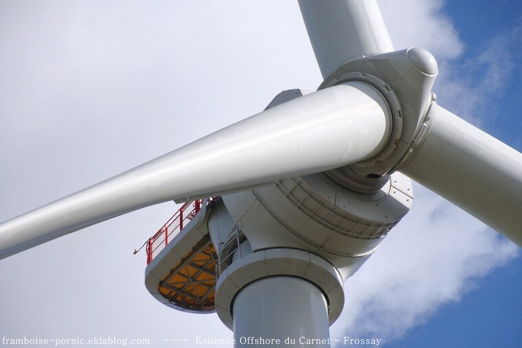 Eolienne Offshore du Carnet 