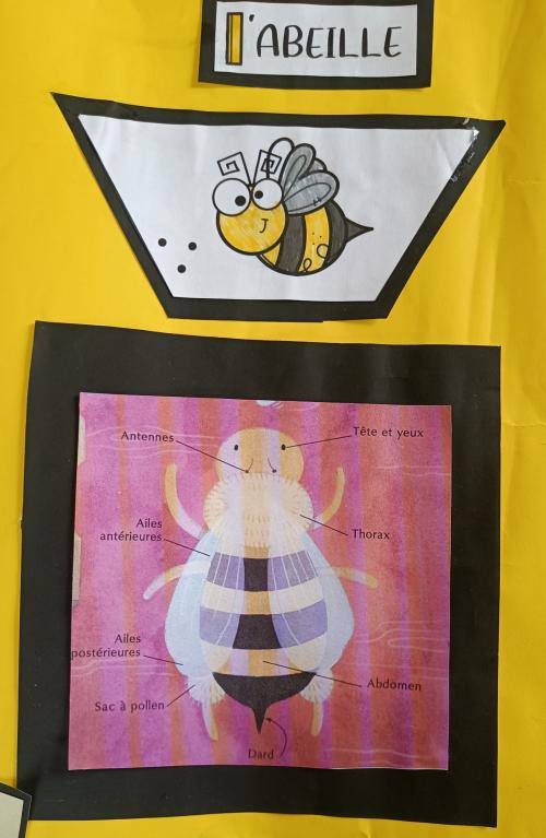 les abeilles