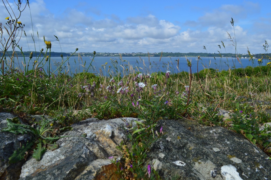 Cairn de Barnenez, l'âge de pierre en baie de Morlaix