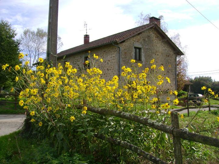 RANDONNEE A SAINT MATHIEU . HAUTE-VIENNE .