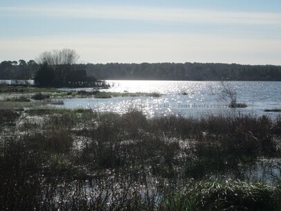 Lac et Campagne landaise