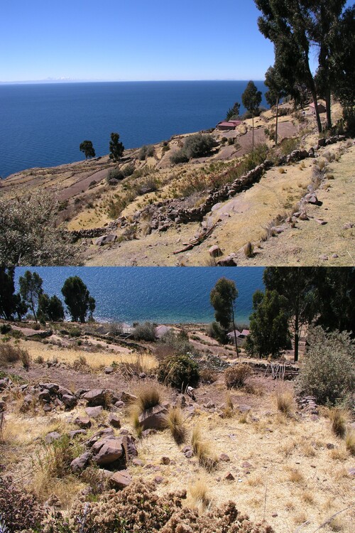 Voyage au Pérou août 2009, de Puno au Lac Titicaca,  île de Taquilé