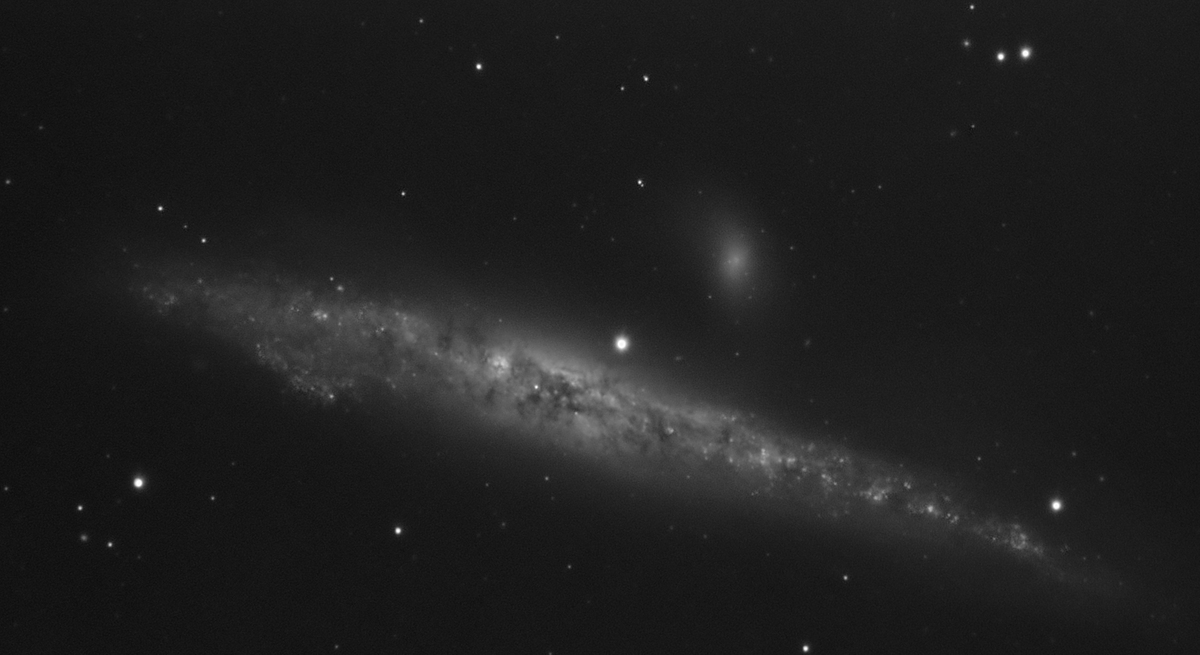 NGC 4631, la baleine bleue