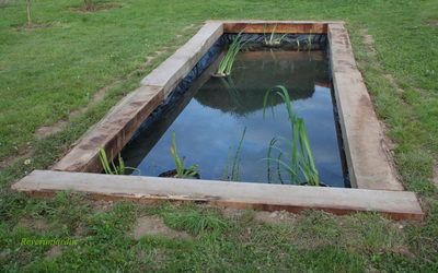 Rêve de gosse : construire un bassin dans le jardin ! –