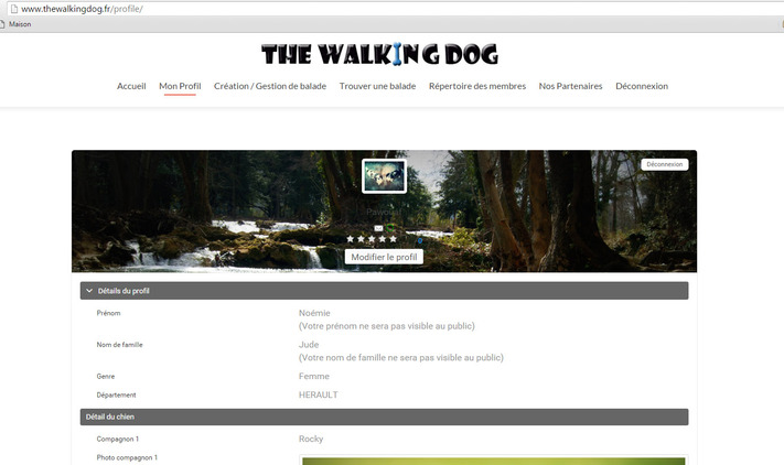 THE WALKING DOG 