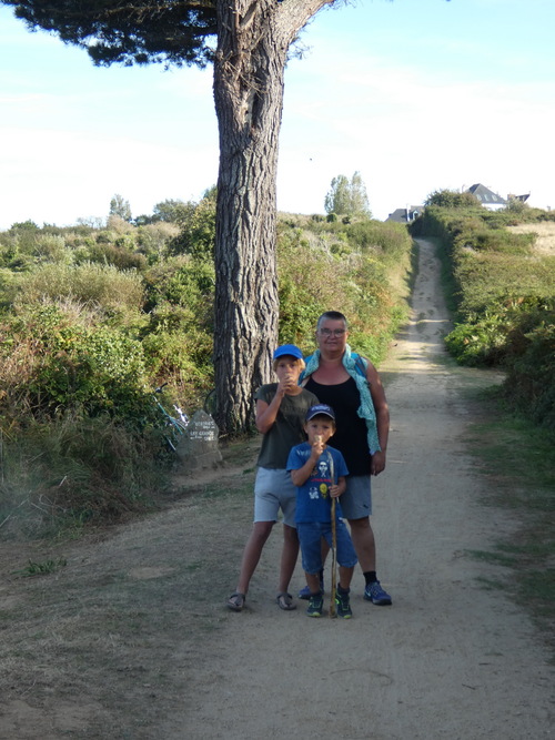 mon arbre à Groix