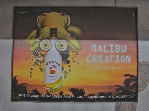 Caribbean creation Malibu affiche 2