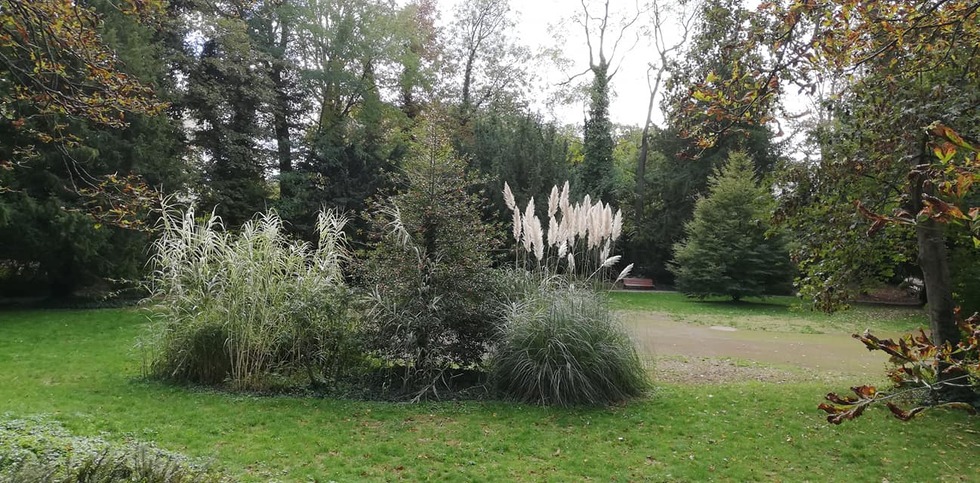 balade dominicale au parc de Créteil 