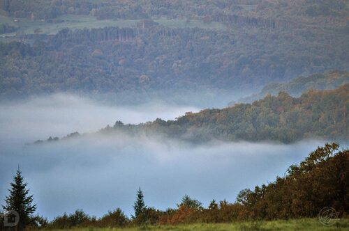 Vallée dans la brume