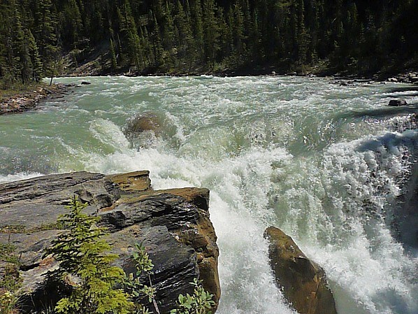 Jour 19 route des Glaciers chutes Sunwapta 2