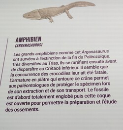 EXPO:" Les Géants aux temps des Dinosaures" 