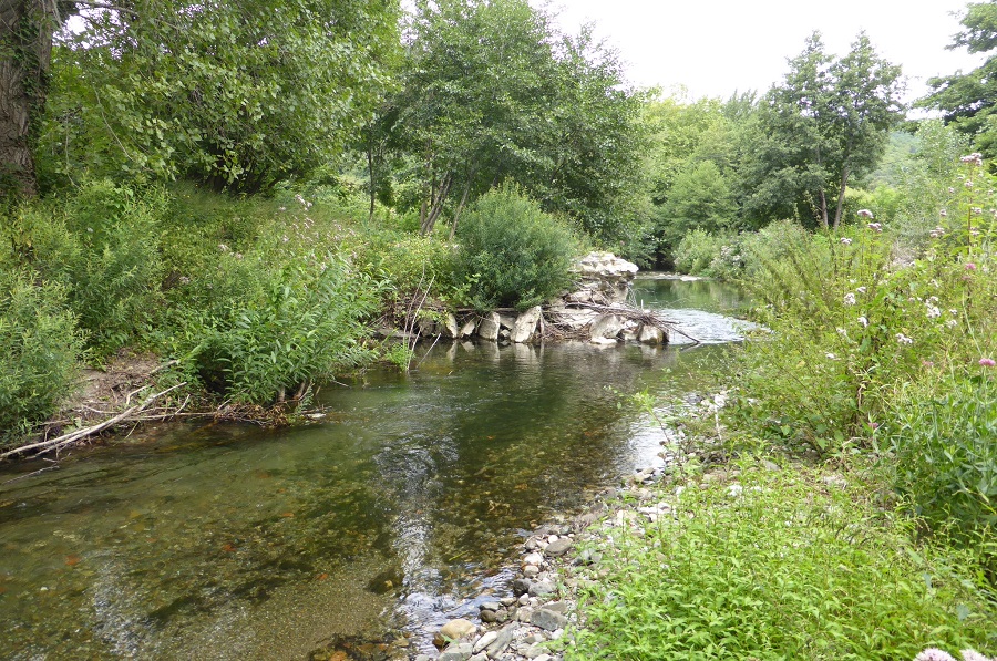   Une journée dans les Hauts-cantons