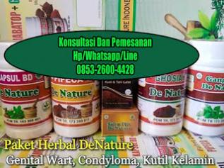 Obat Kutil Kelamin