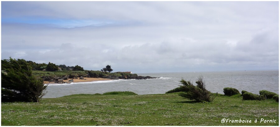 Littoral pornicais au Portmain 