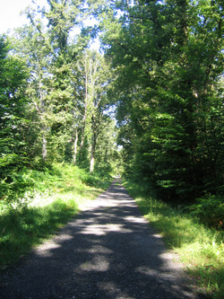 Chemin d'Arles 2008 - Lescar (21km)