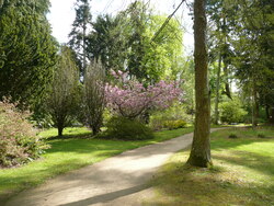 L' Arboretum de Balaine
