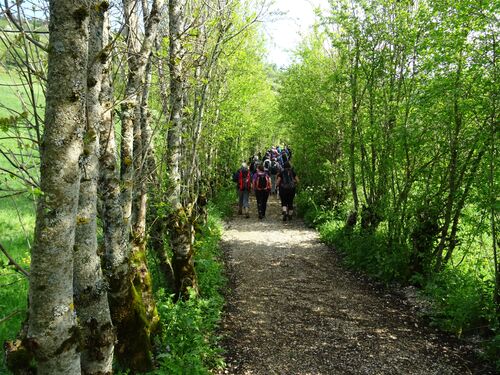 "Le Haut Jura de Jeanine" 1 - Mercredi 09 mai 2018