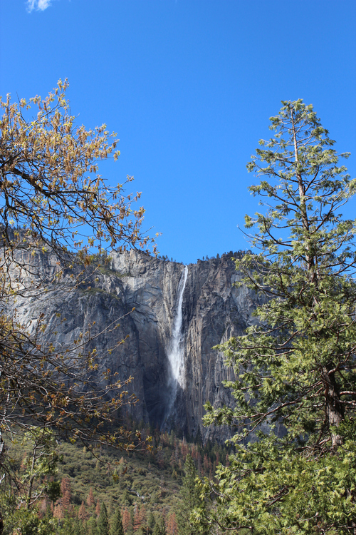 Yosemite - 