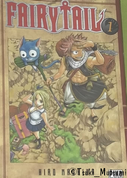 Fairy Tail - tome 1