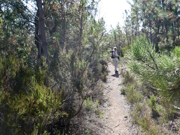 Sur le sentier