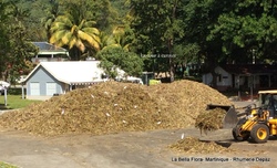 Martinique -Visite de la Distillerie Depaz