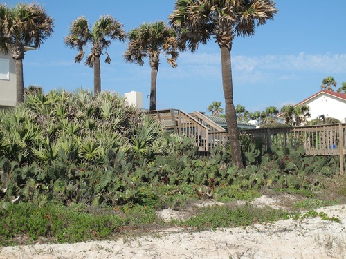 La côte Atlantique et Sainte Augustine