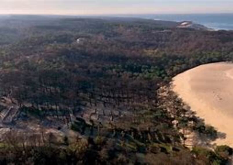 Résultat d’images pour photos incendie à la dune du pilat