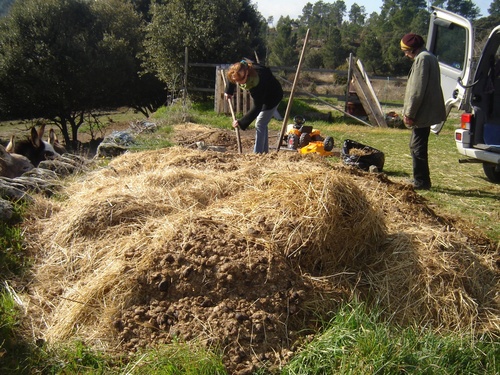 Actions diverses sur le territoire