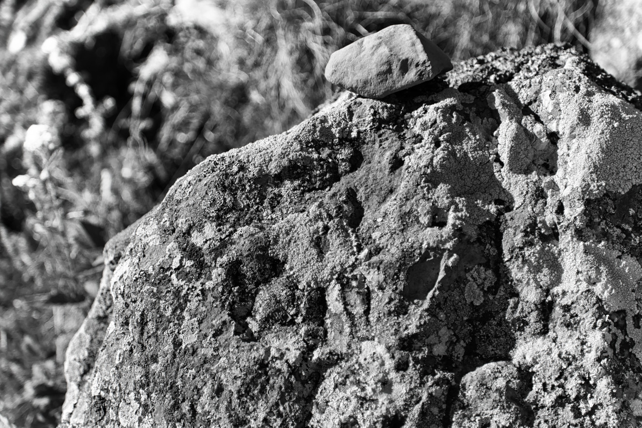 L'Aubrac Lozérien en noir et blanc