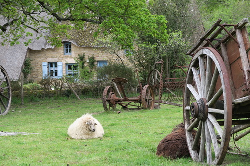 Calendrier de l'Avent: jour 13, l'Irlande?