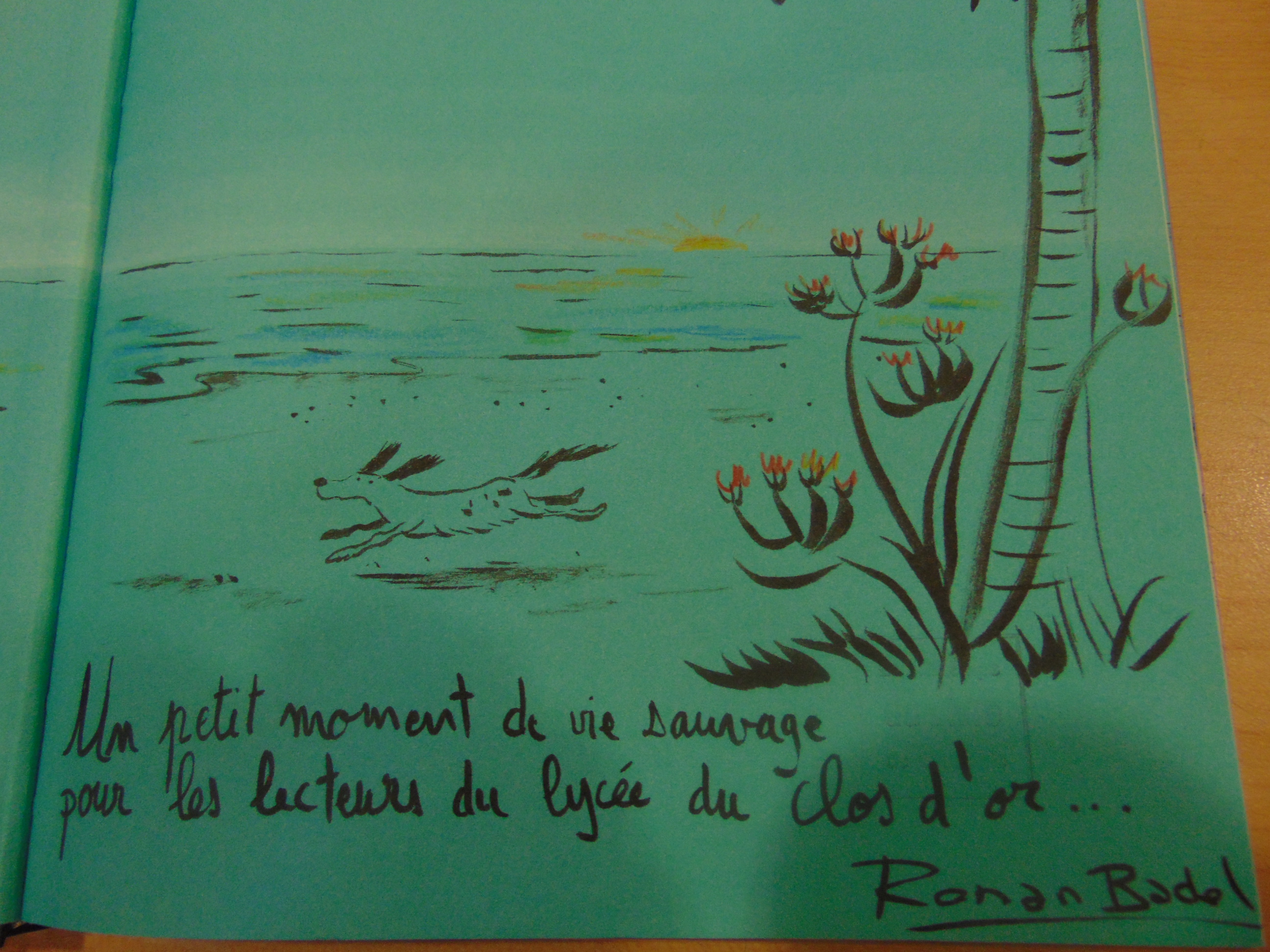 site de rencontre badel
