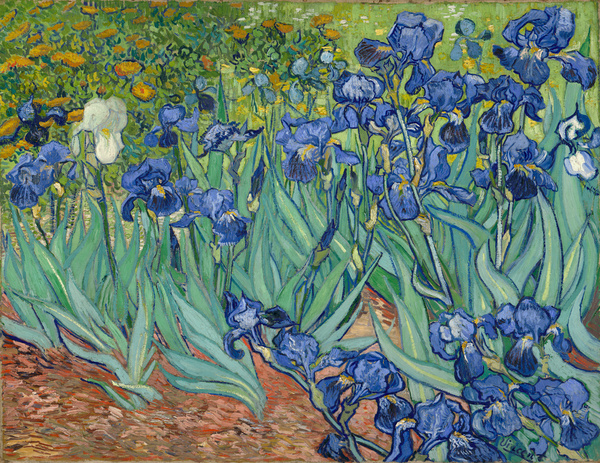 Samedi - Le tableau du samedi : Les iris de Van Gogh