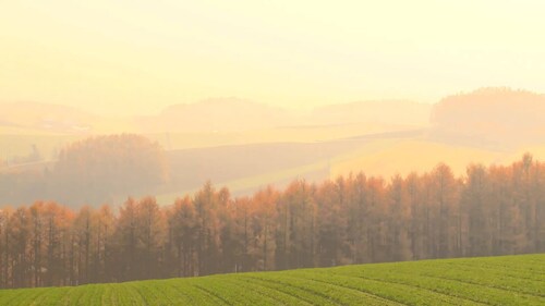 "Deep Autumn" Quiet Scenery Quiet Music