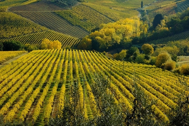 Chianti, un territoire viticole historique