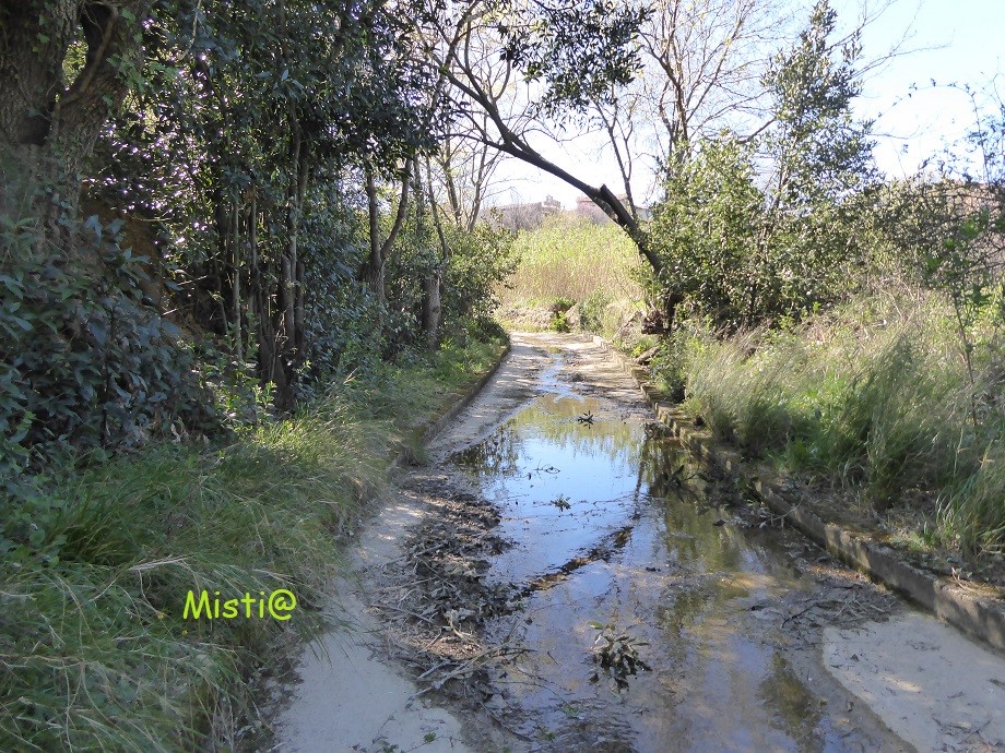  Sur les bords de la Garèle ...