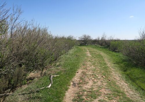 Randonnée sur le Domaine de Certes et Graveyron