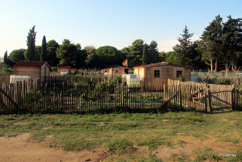 Au Barcarès : jardins familiaux