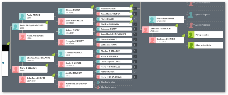 Semaine 37 : ANCESTRY