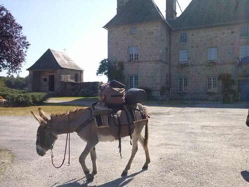 La Dordogne : randonnée avec nos ânesses