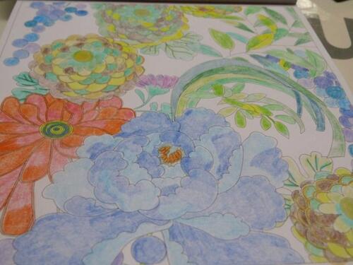 coloriage fleur et jardin1