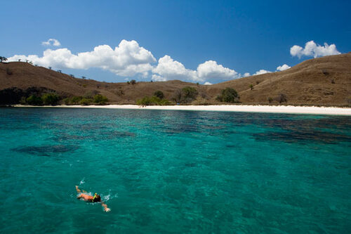 L'île de KOMODO