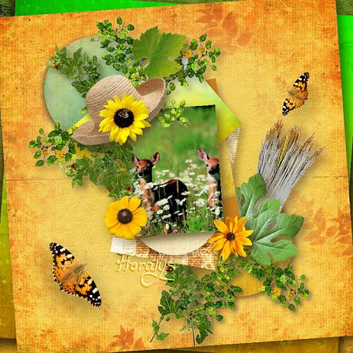 Pack templates 8