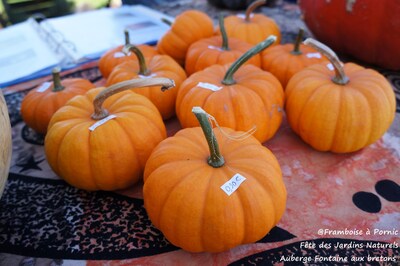 Pornic, Fête des Jardins Naturels - 2015