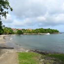 En balade sur le sentier du bord de mer - Lianes - Photos : Fritz