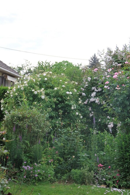 Les rendez vous au jardin