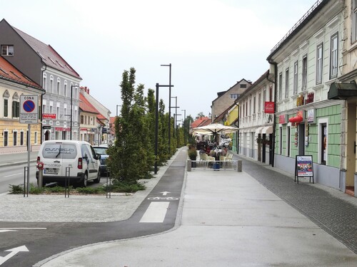 Zalec (Slovénie)