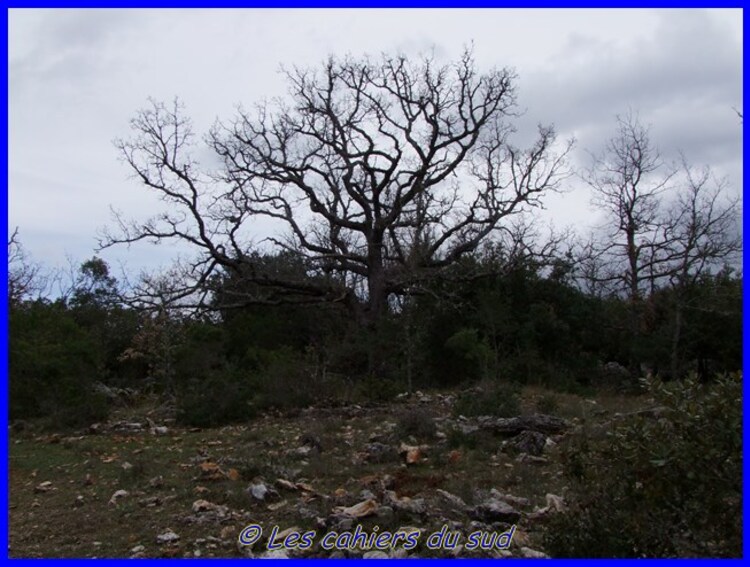 La bergerie de Siou Blanc